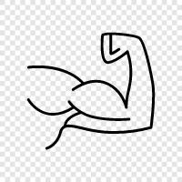 muscles, workout, arms, workout routine icon svg