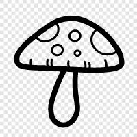 mushroom, edible, fungi, edible mushrooms icon svg