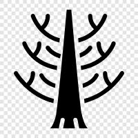 naked tree, bare tree icon svg