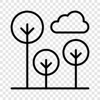 national, woodland, preserve, nature icon svg