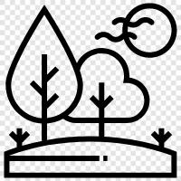 nature, green, nature reserve, hiking icon svg