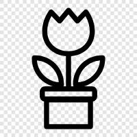 nature, gardening, landscaping, planting icon svg