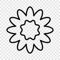 Natur, Blüte, Blume symbol