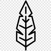 Nature, Environment, Wood, Forest icon svg