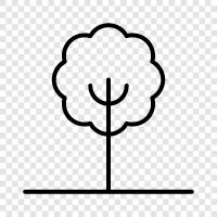 Nature, Forest, Bush, Vegetation icon svg