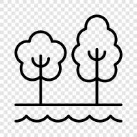 nature, hiking, biking, running icon svg