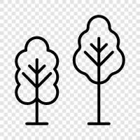 nature, hiking, biking, running icon svg