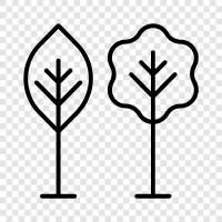 nature, recreation, green, trees icon svg