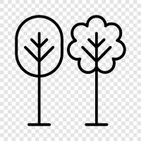 nature, trees, wildlife, hiking icon svg