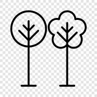 nature, green, trees, hiking icon svg