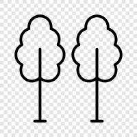 nature, hike, picnic, nature trail icon svg