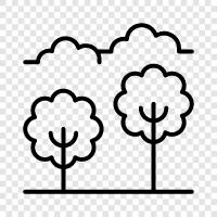 nature, green, trees, picnic icon svg