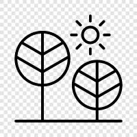 nature, trails, gardens, picnic areas icon svg