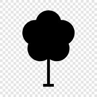 nature, trees, flowers, foliage icon svg