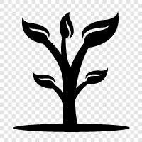 nature, environmentalists, deforestation, carbon dioxide icon svg