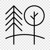 nature, recreation, hiking, biking icon svg