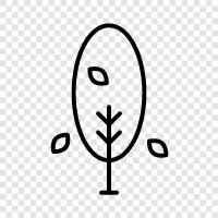 nature, growth, leaves, branches icon svg