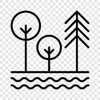 nature, recreation, greenery, picnic icon svg