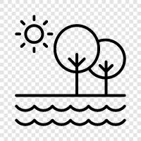 nature, hiking, biking, picnic icon svg