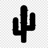 nature, plants, desert, Southwest icon svg