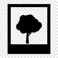 nature photography tips, nature photography techniques, nature photography for beginners, nature photography icon svg