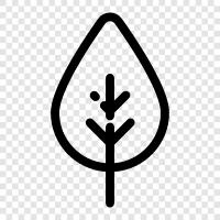 nature, green, tree, leaves icon svg