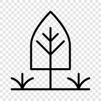 Natur, Erholung, grün, Baum symbol