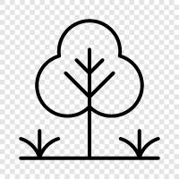 nature, forest, hiking, picnic icon svg