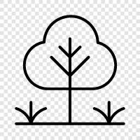 nature, green, trees, park icon svg