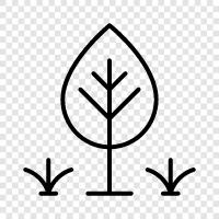 nature, landscapes, green, trees icon svg