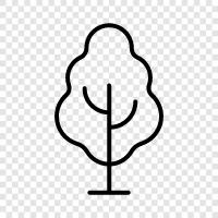 nature, forestry, wood, lumber icon svg