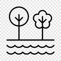 nature, wildlife, hiking, biking icon svg