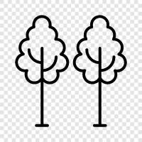 nature, recreation, nature park, hiking icon svg