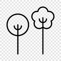 nature, environment, forestry, tree planting icon svg