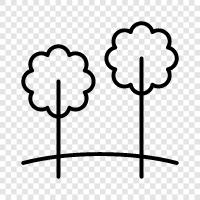 nature, gardens, trees, hiking icon svg