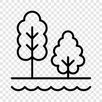 nature, recreation, hiking, biking icon svg