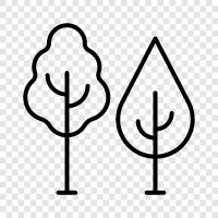 nature, hiking, biking, running icon svg