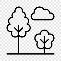 nature, enjoy, walk, picnic icon svg