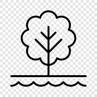 nature, forestry, environmentalism, sustainability icon svg