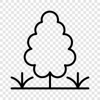 nature, gardens, wildlife, hills icon svg