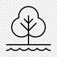 nature, nature reserve, parkland, play area icon svg