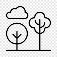 nature, recreation, hiking, biking icon svg