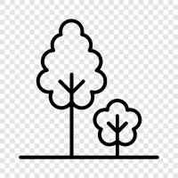 nature, green, trees, picnic icon svg