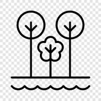 Natur, grün, Bäume, Wald symbol