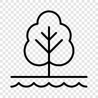 nature, recreation, forest, hiking icon svg