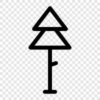 needle, cone, forest, trees icon svg