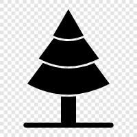 needles, cones, tree, Christmas icon svg