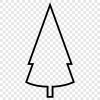 needles, cones, Christmas, holiday icon svg