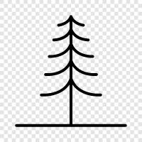 needles, cones, fresh pine tree, Christmas tree icon svg