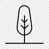 needles, cone, bark, Christmas icon svg